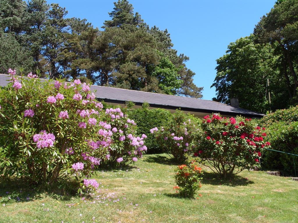 Plas Heulog Holiday Accommodation Ланвайрвехан Екстериор снимка